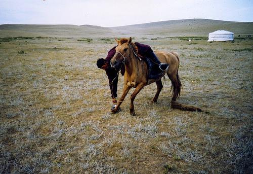 Mongolei