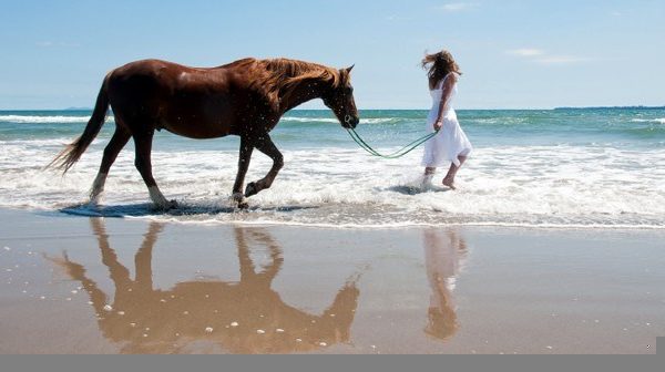 Reiturlaub am Strand