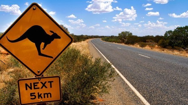 Känguru Schild in Australien