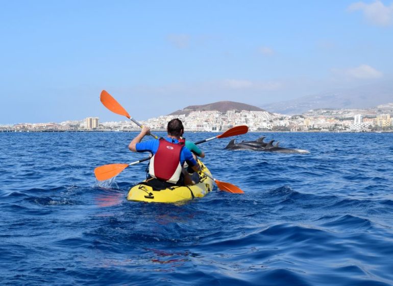 Kayak Tour