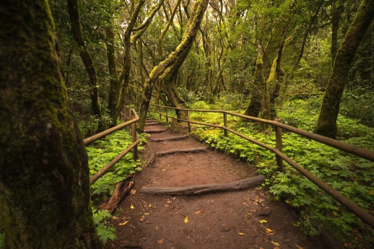 La Gomera